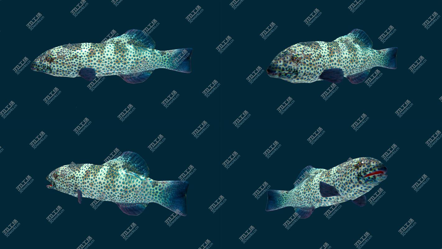 images/goods_img/2021040235/3D Low poly Fish Collection Animated - Game Ready Pack 2/4.jpg